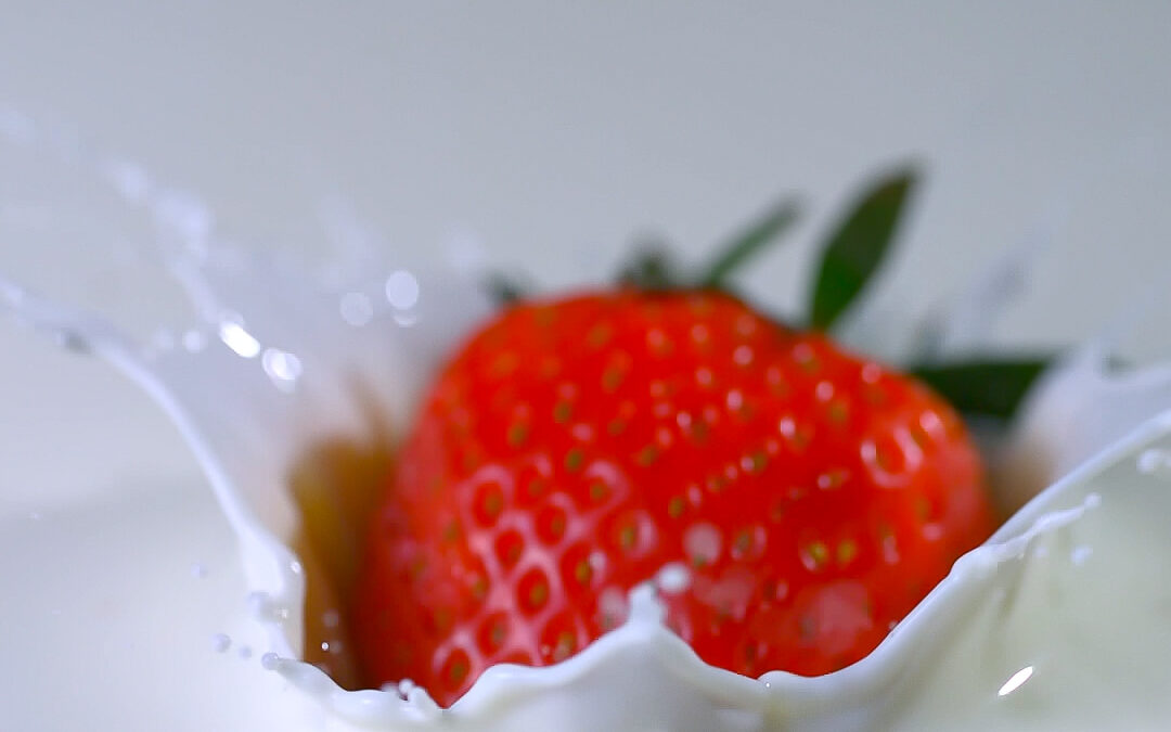 Macro highspeed food