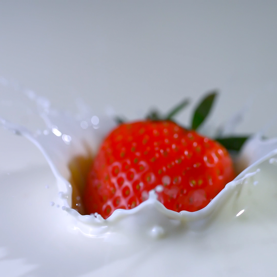 Macro highspeed food